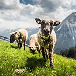 Apartment Waidmannsheil Seefeld in Tirol