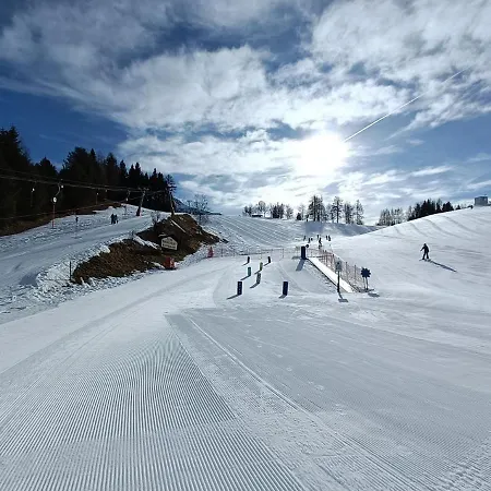 شقة Waidmannsheil