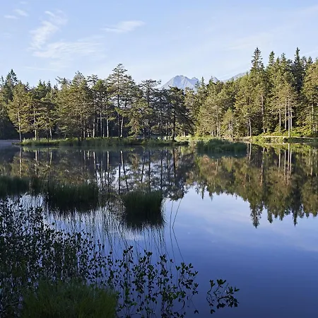 Waidmannsheil شقة