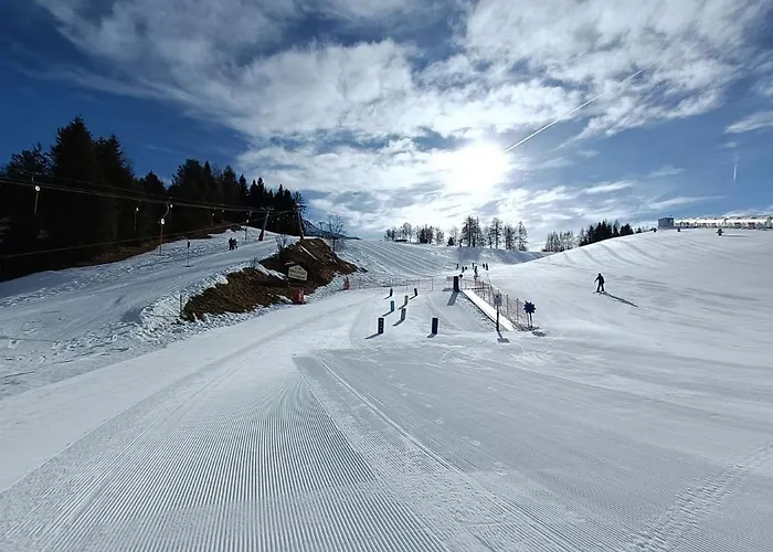 Apartament Waidmannsheil