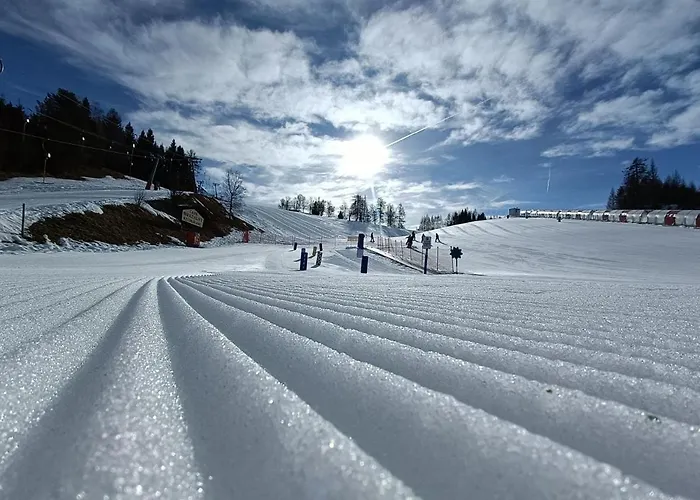 Waidmannsheil Apartament *