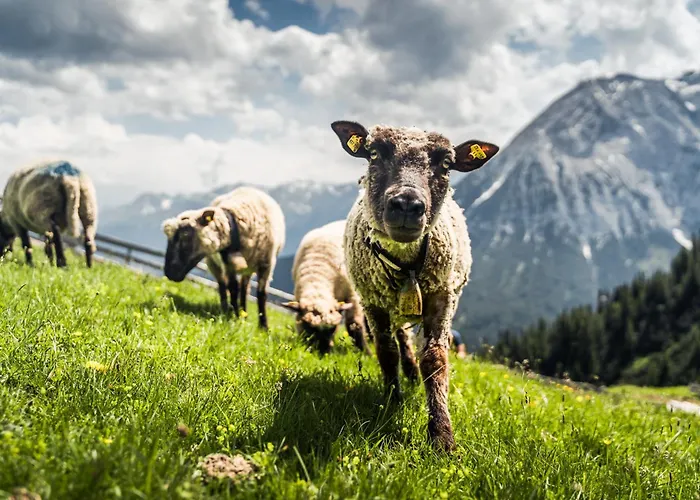 Apartament Waidmannsheil Seefeld w Tirolu