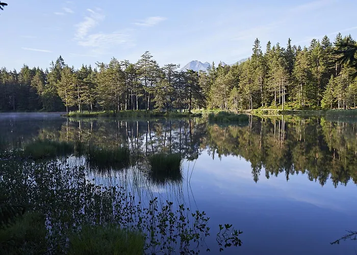 Waidmannsheil Apartament