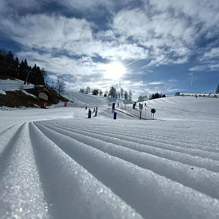 Waidmannsheil Daire *